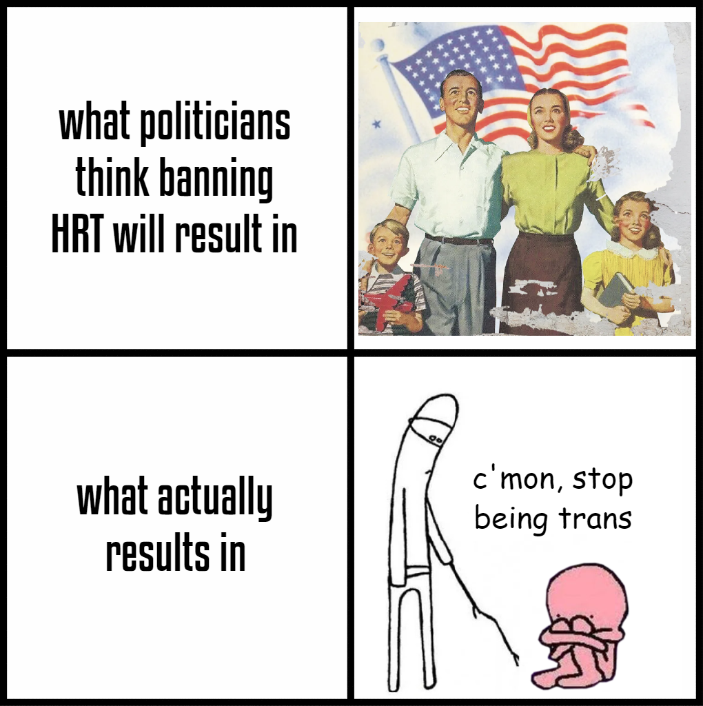 What politicians think banning HRT will result in meme