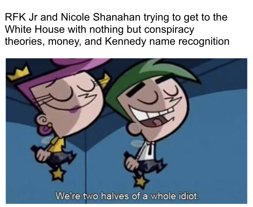 RFK Jr and Nicole Shanahan trying to get to the White House meme