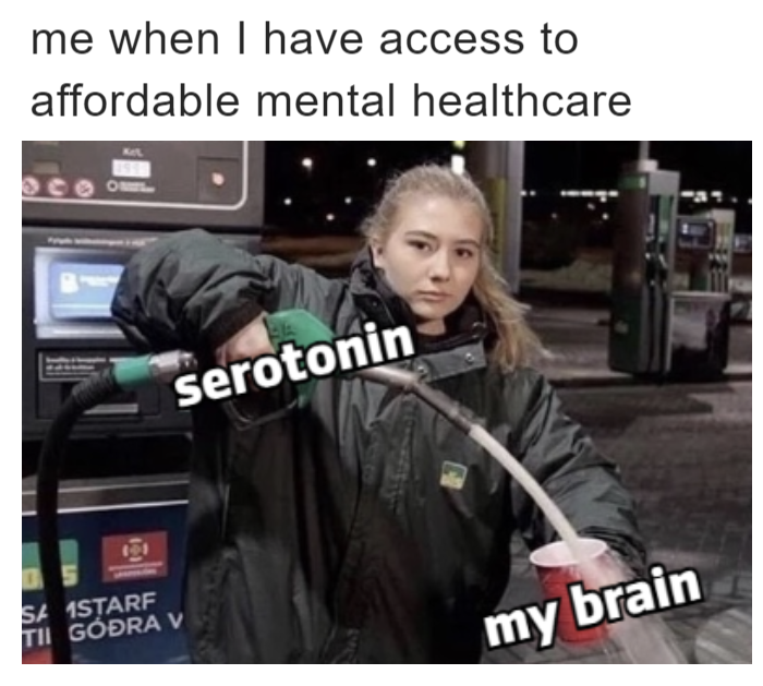 Me when I have access to affordable mental healthcare meme