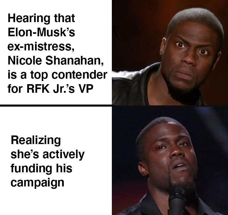 Hearing that Elon Musk's ex-mistress is a top contender for RFK Jr's VP meme