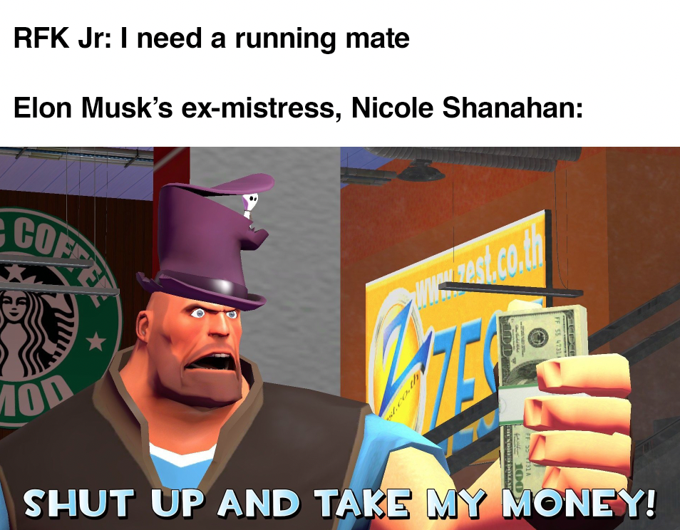 RFK Jr: I need a running mate meme