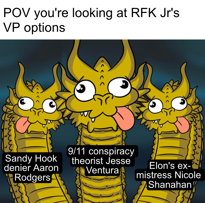 POV you're looking at RFK Jr's VP options meme