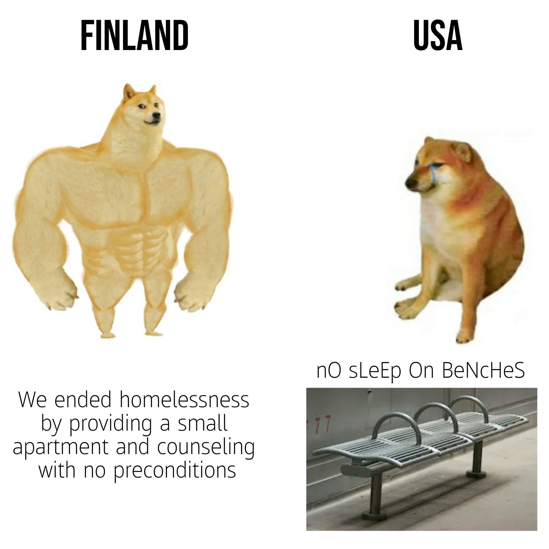 Finland vs USA on the unhoused meme