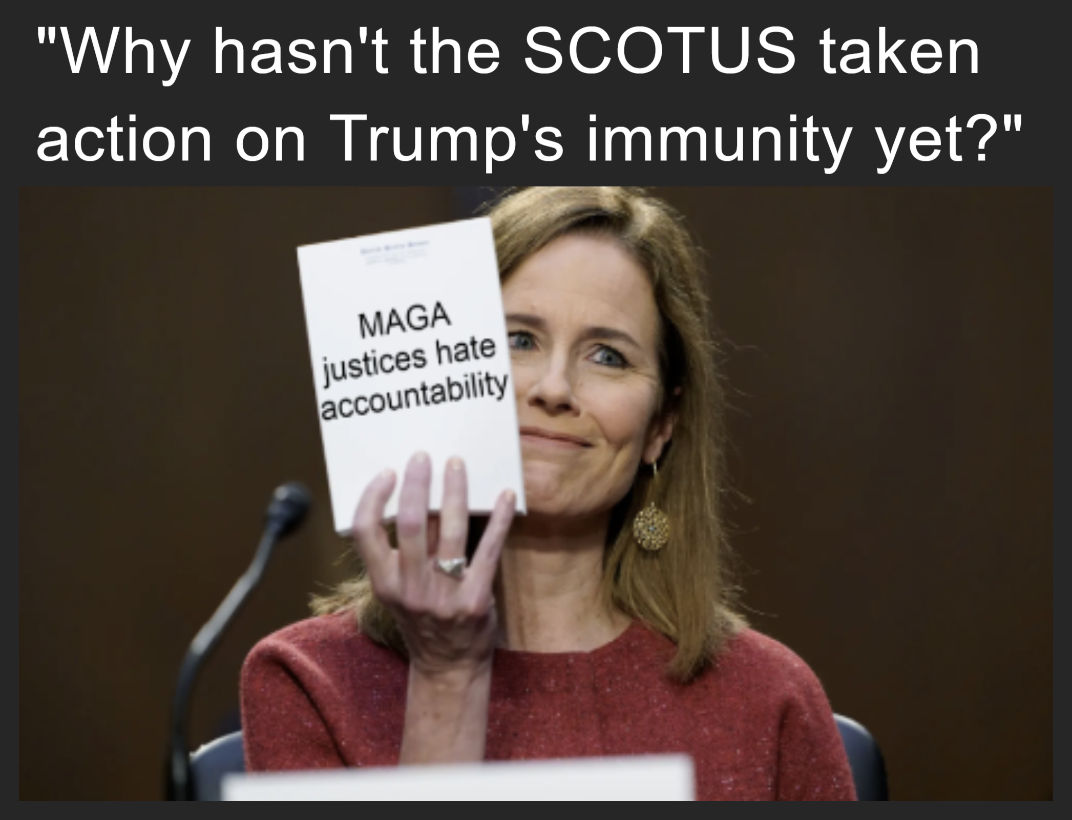 "Why hasn't the SCOTUS taken action on Trump's immunity yet?" meme