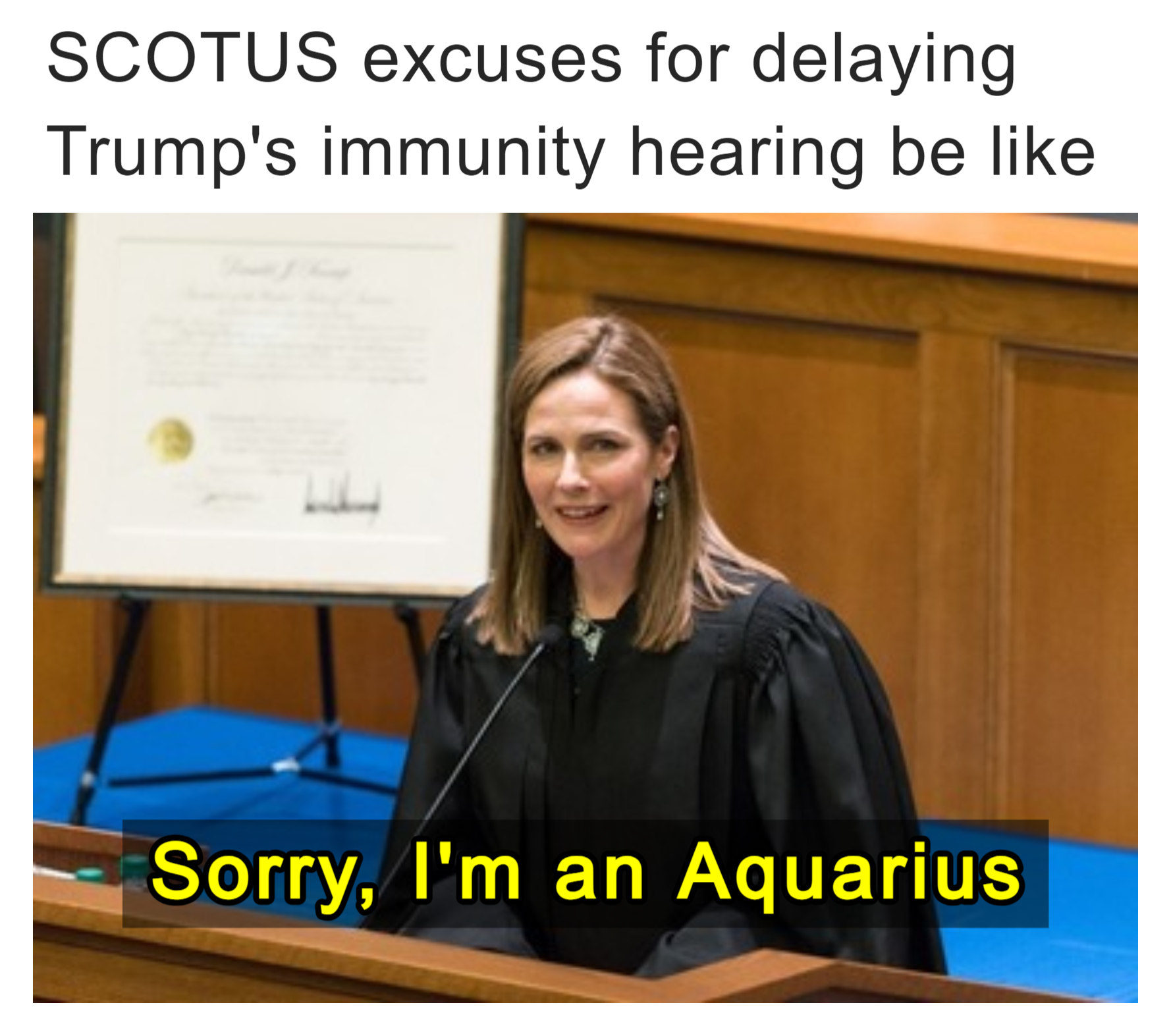 SCOTUS excuses for delaying Trump's immunity hearing be like meme